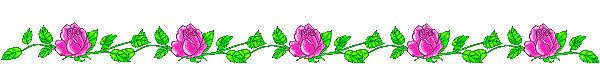 Roses 1